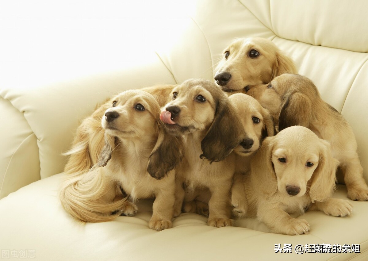 这5类商品不要在网上购买,不建议在网上购买的3种商品