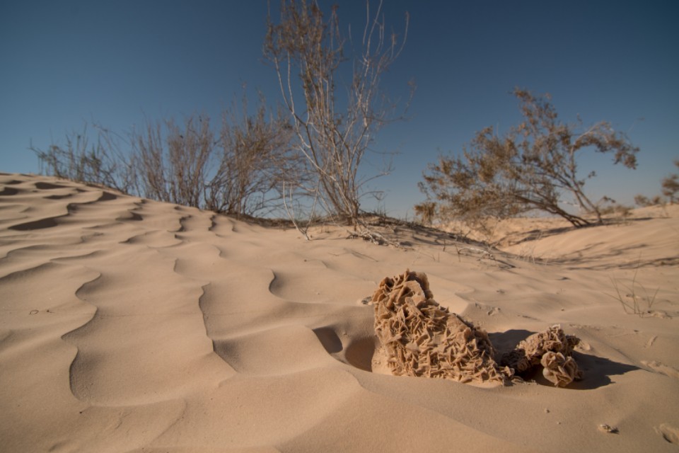 沙漠玫瑰石头,沙漠玫瑰石风水寓意