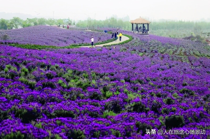 江宁欢迎您！这20个乡村旅游景点，适合春夏来此打卡