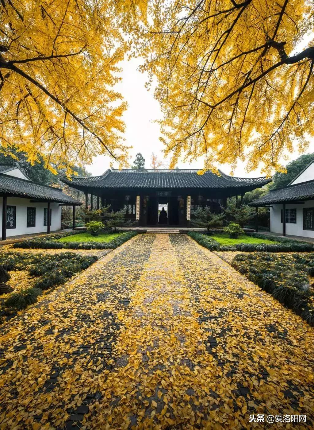 170元机票价格,170元飞机票