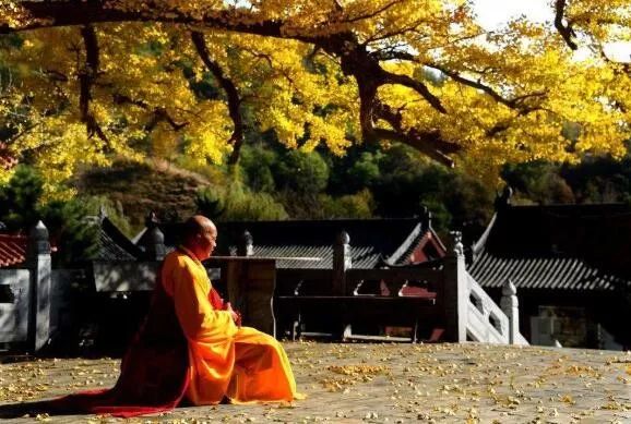 独家揭秘:佛教传播的见证——妙峰山及寿圣院考(作者:崔学法)