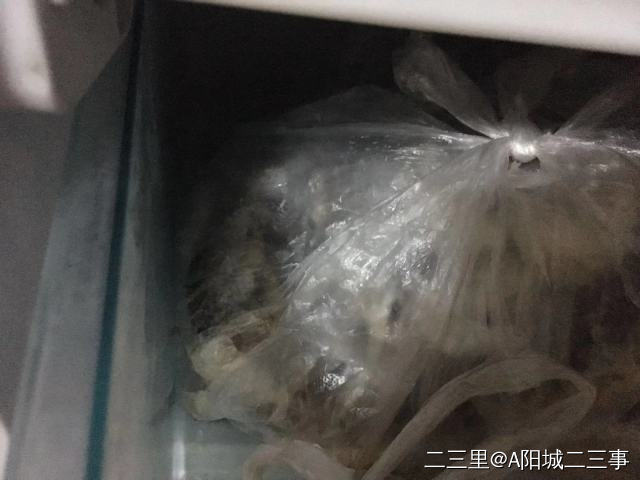 蘑菇前期怎么处理,黄蘑菇干有点苦是怎么回事