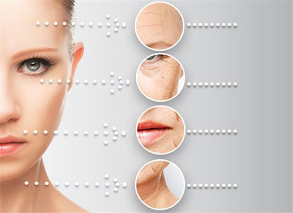 丽皙白好用吗,丽皙白亚太区运营总部