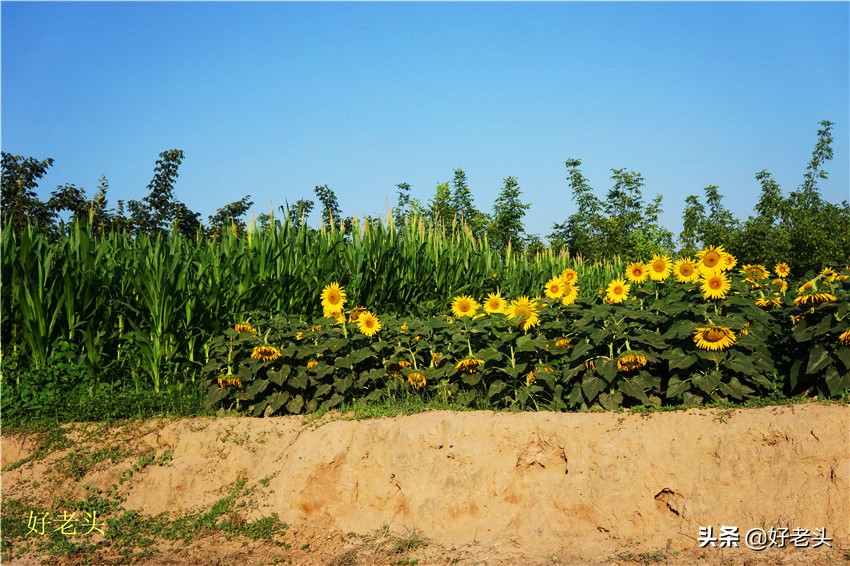 床车自驾游吃住在车上,床车自驾吃住