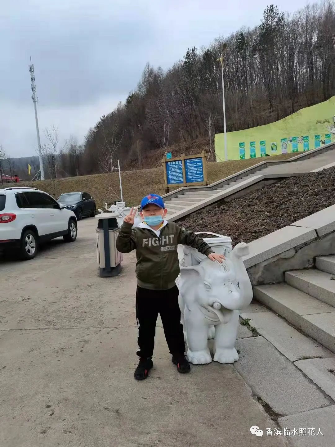 这儿真美的思维导图,思维导图看图作文大全
