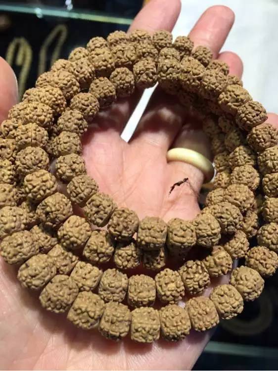 小金刚菩提鉴定视频,小金刚菩提的真假鉴别