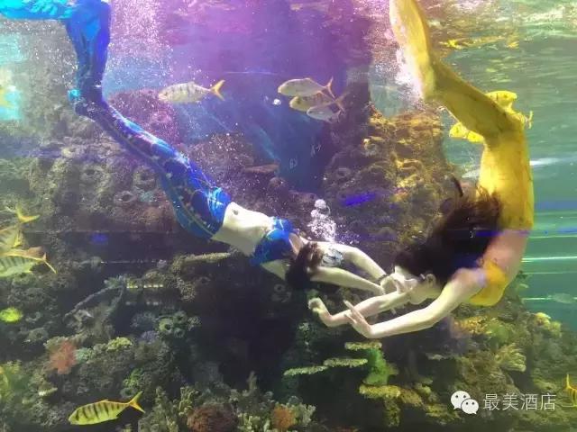 2019年最舒适的酒店,国内最美野奢酒店