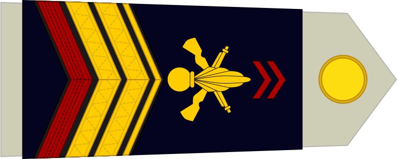 法国将军军衔等级,法国上校是什么军衔