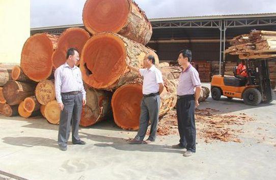 暗访东莞天价大板生产基地，原料全是称斤烂木头，富豪还排队来买