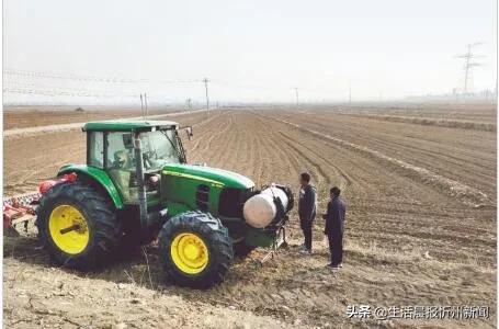 忻州市忻府区农村土地集体化经营,峄城区农村土地规模化经营