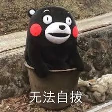 口碑最好的猫狗营养膏,猫狗营养膏