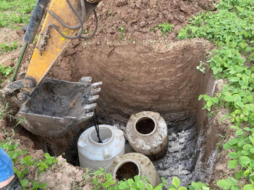 湖南一男子上厕所遇剧毒眼镜蛇,一男子在枕头下发现五步蛇