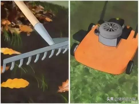 消灭蜱虫的药,蜱虫的毒性有多强