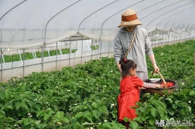 最流行最酷的遮阳帽,遮阳多又不容易吹风的防晒帽