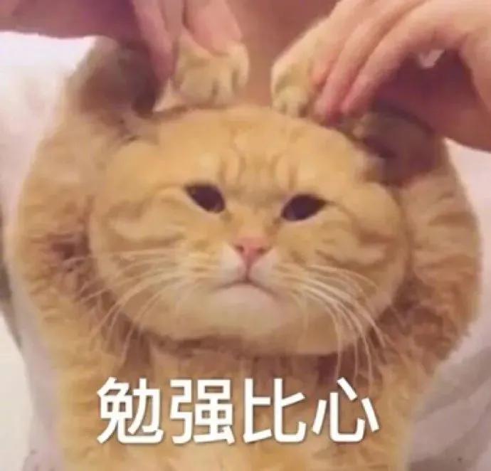 “做公关被长辈认为是陪酒女…”网友评论扎心了!