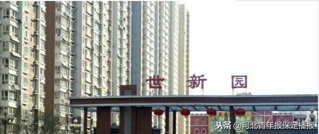 「11月14日」保定新闻“早点”：你昨天错过的大事都在这！