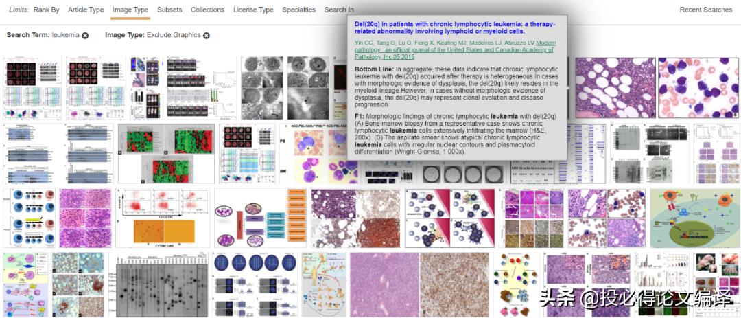 文献检索工具主要有以下几种类型,文献检索的搜索技巧