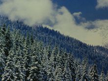 新疆自然资源十四五规划,新疆自然资源大全