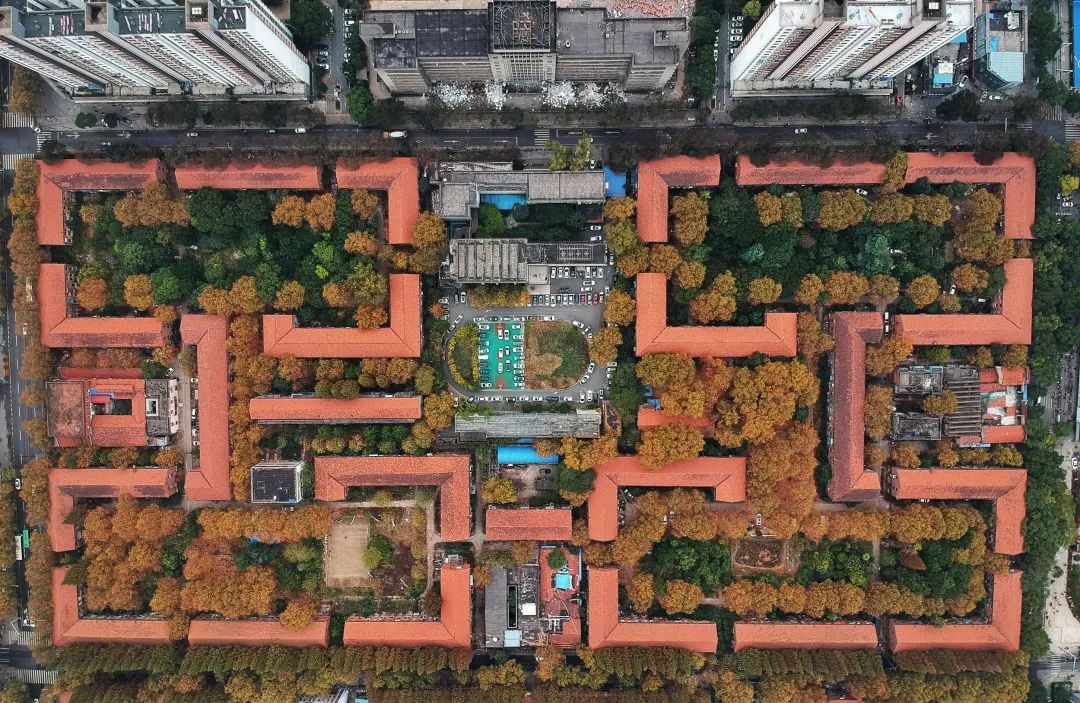 崛起！这块被遗忘的“房价黑洞”如今却成了香饽饽？