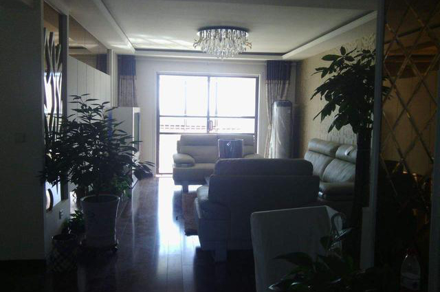 楼层低屋里暗怎么办,装修一楼采光差楼层低的补救办法