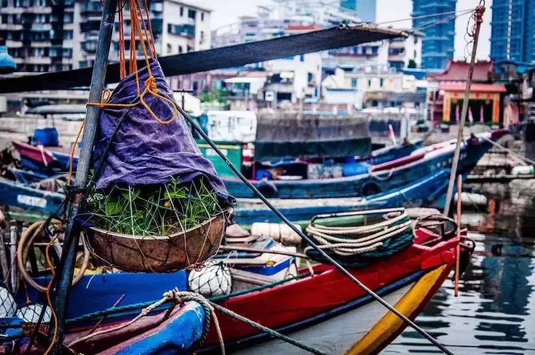 厦门旅游攻略自由行美食,厦门旅游景点特色美食自由行
