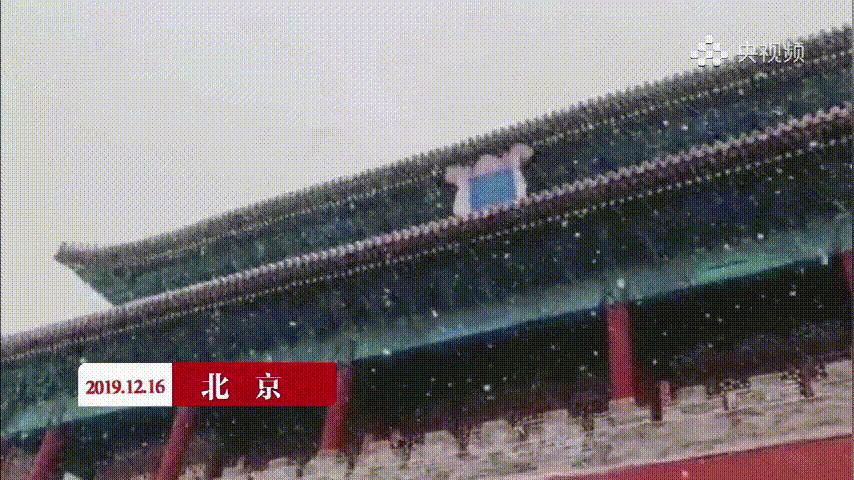 大雪纷飞寒冷刺骨,大雪纷飞寒冷的冬季