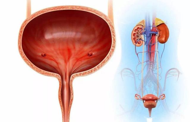 只要喝水就尿多是什么原因,只要一喝水就尿多是怎么回事
