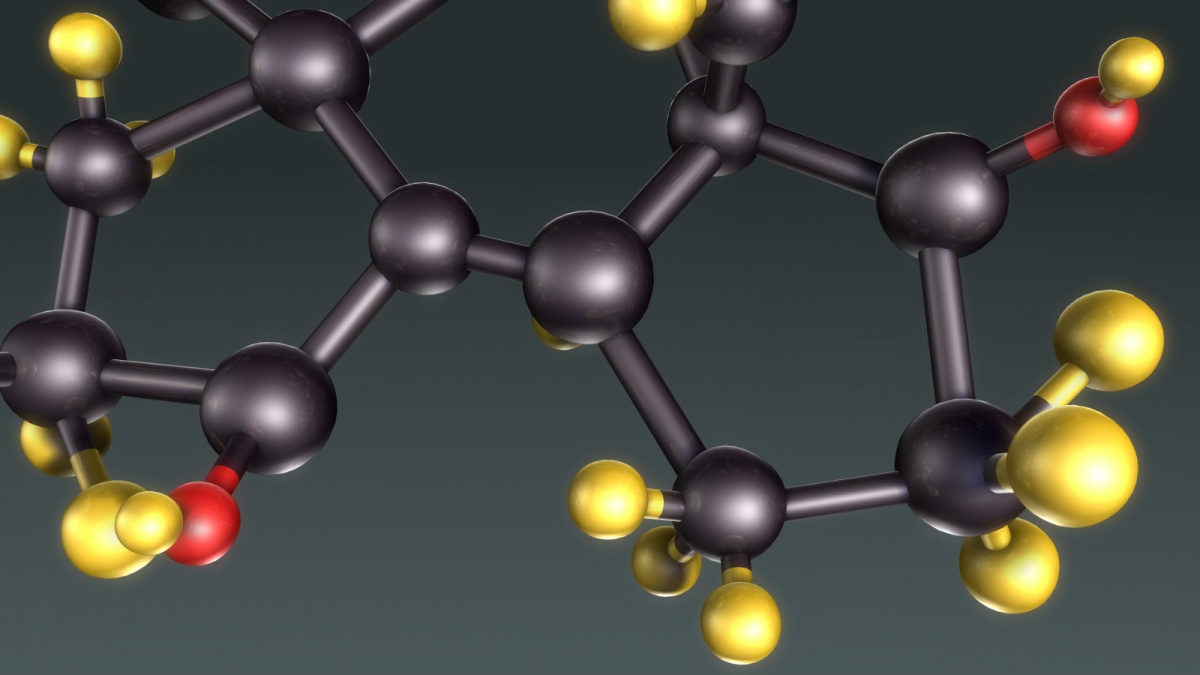 牵一发动全身什么意思,牵一发动全身的意思