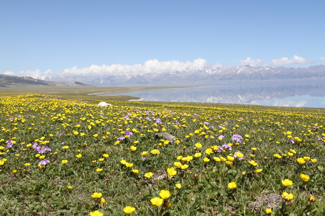 2020独库公路攻略详细路线图,2023独库公路自驾游攻略图