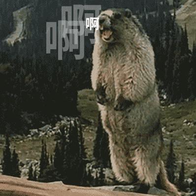 airjordan11黑红真假,airjordan11黑红和康扣黑红