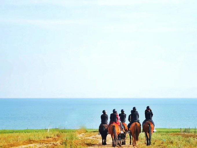 七八月份青海湖旅游攻略图集大全,青海湖7月攻略