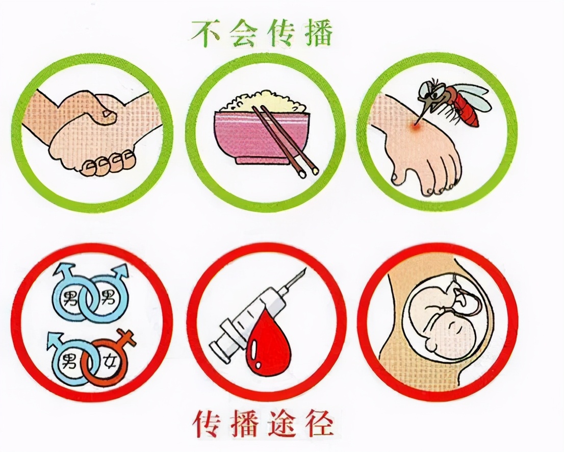 蔡卫平艾滋病专家,艾滋病专家蔡卫平对窗口期的看法