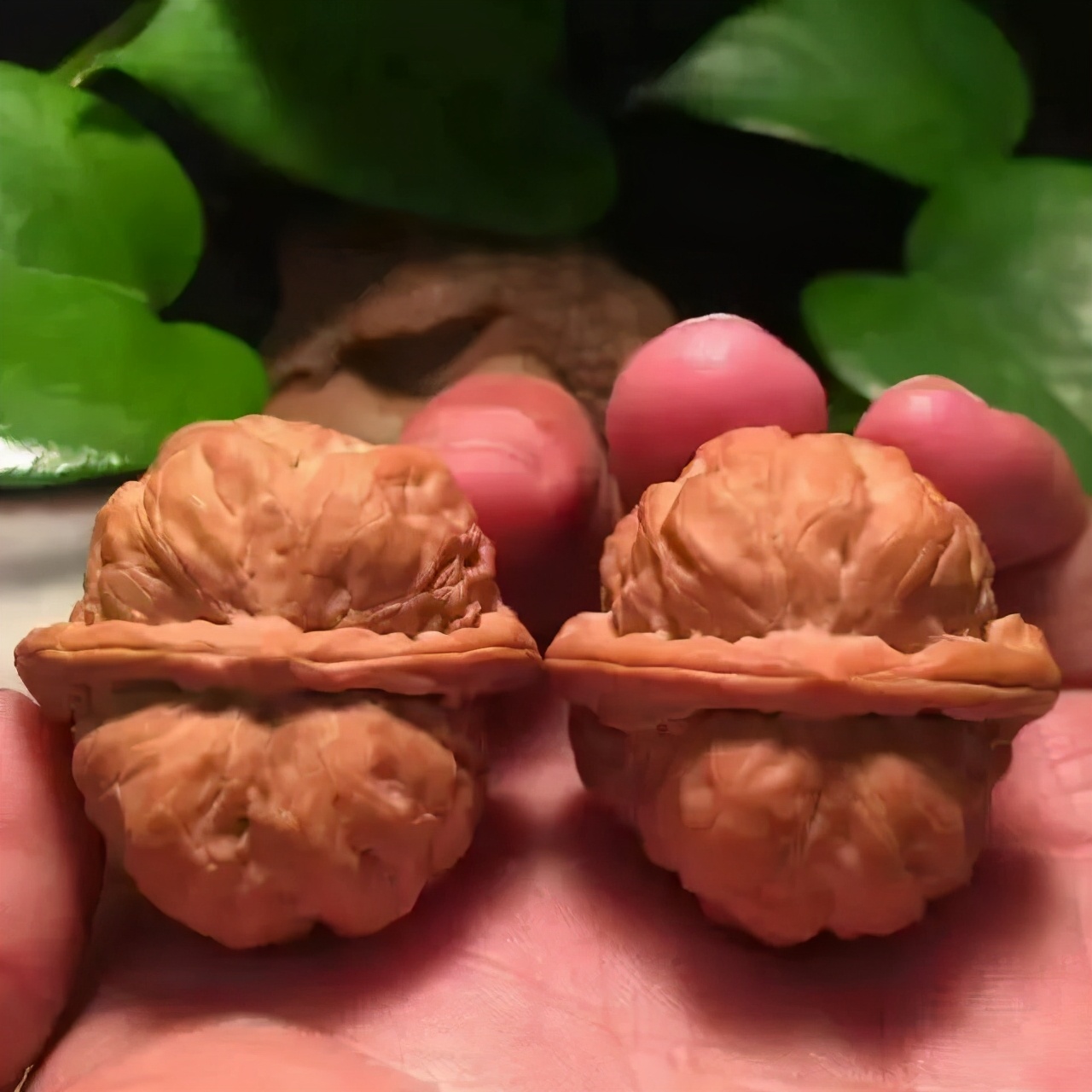 上色核桃怎么盘玩,核桃上色方法视频教程