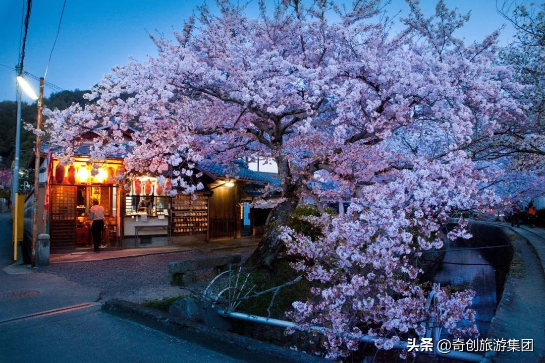 国漫ip观影展,正式名称为三鹰之森吉卜力美术馆