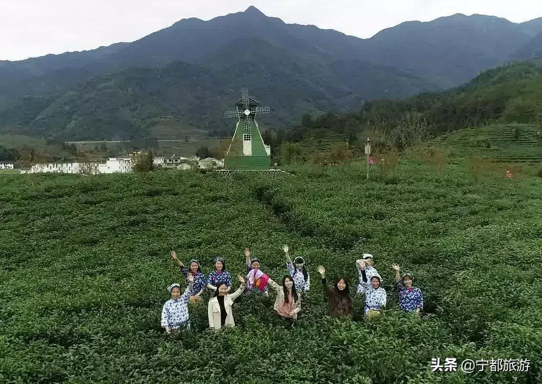 一起品味！小布茶香，香飘全国~
