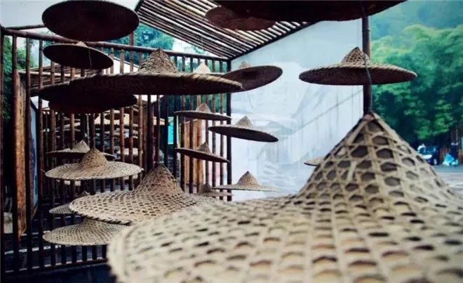 四川宜宾市长宁县竹海新闻,天府竹海景点