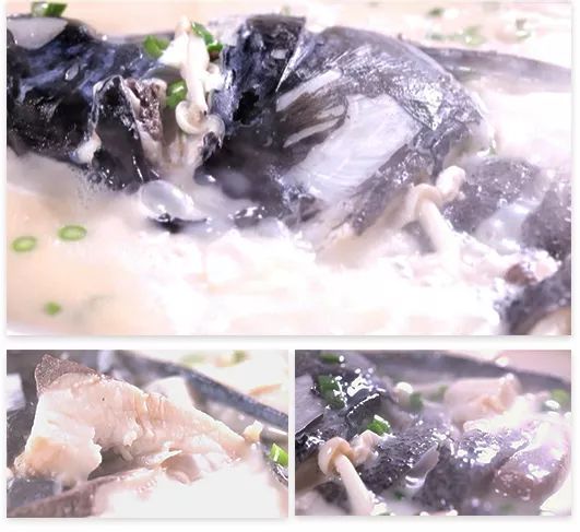 在合肥能吃到全中国的美食,合肥最好吃的鱼头汤滨湖