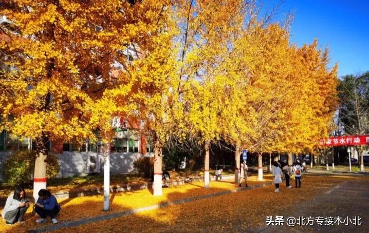 河北省建校时间最长的大学,邢台学院和河北师范