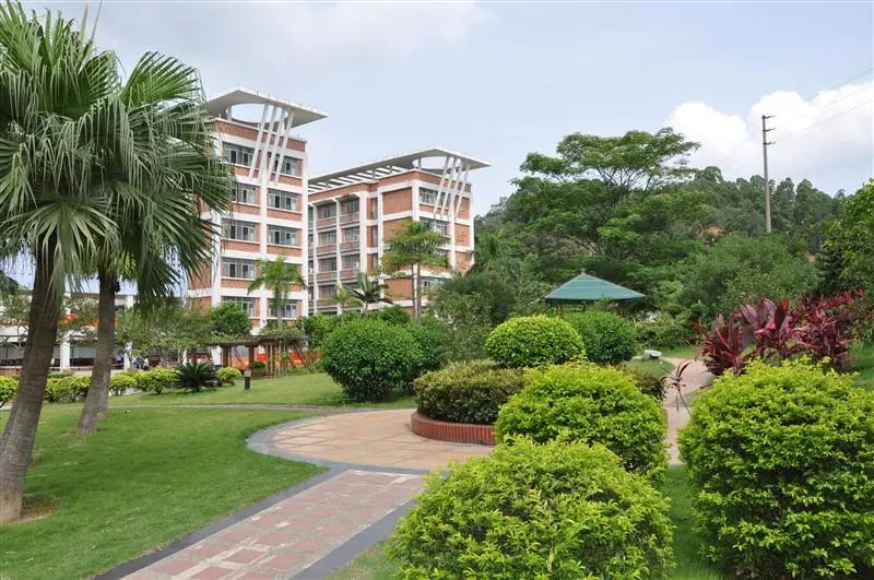 广东专科学校面积大小排名,广东面积最小的专科院校