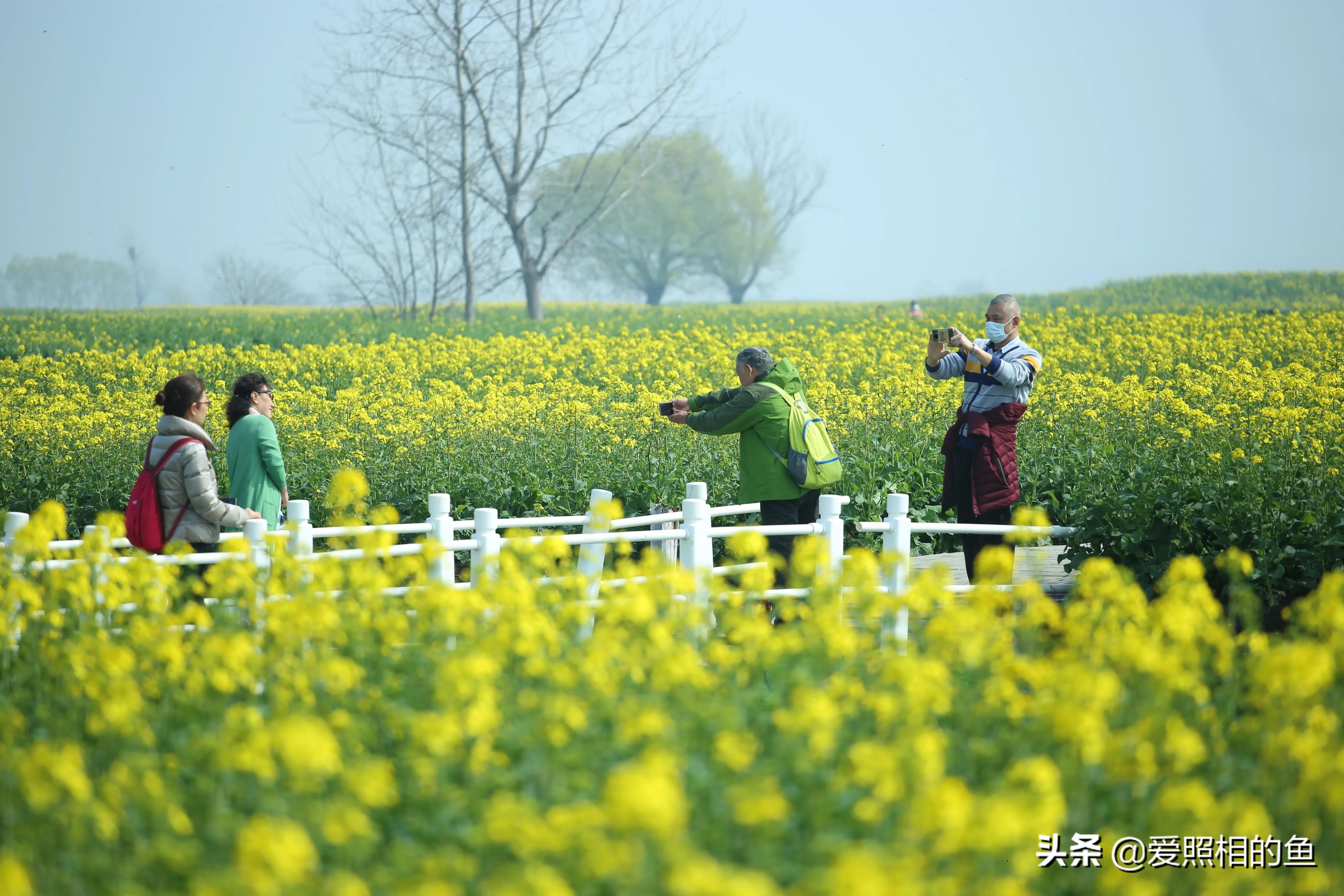 一个普普通通的小镇兴化,兴化为什么没有大城市的繁华