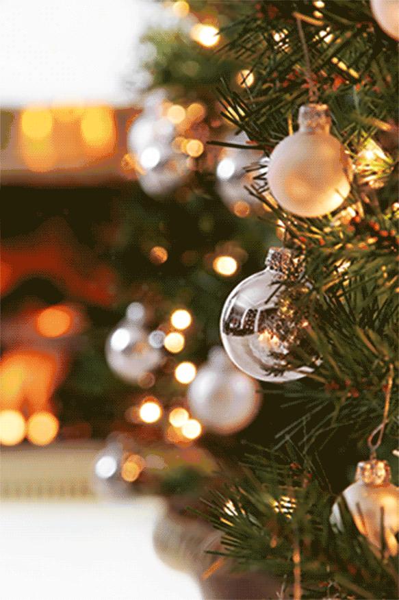 所有人吃美味套餐,人人美食优惠套餐