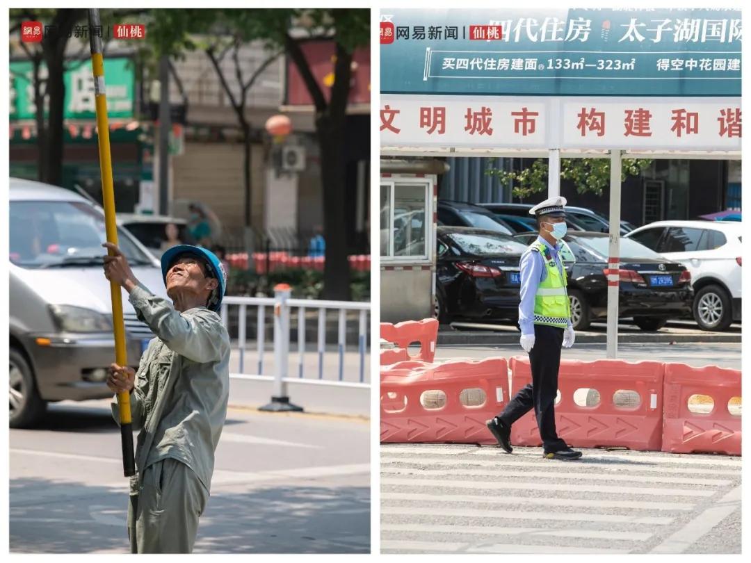 这六个月，仙桃过得怎么样？