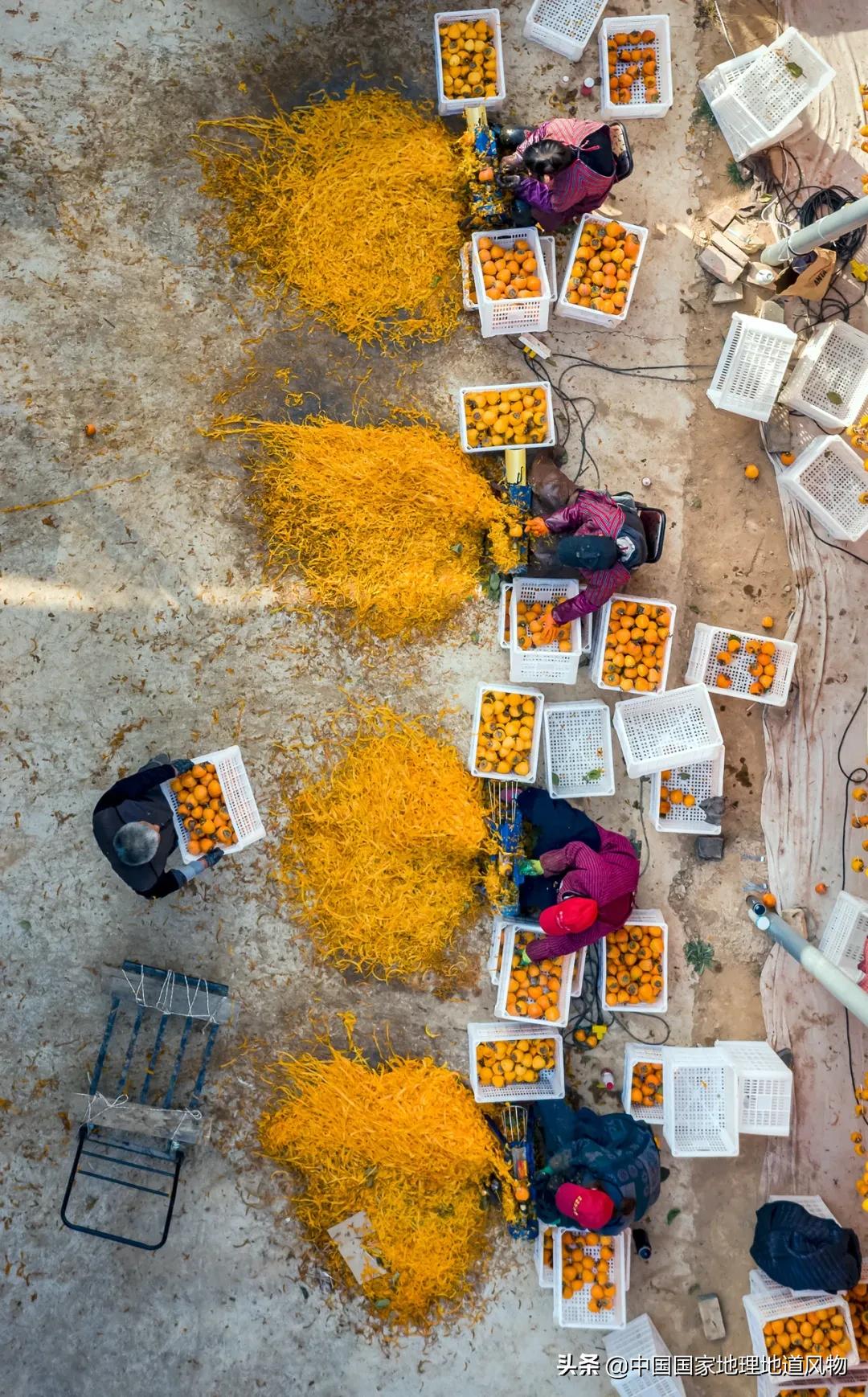 陕西水果第一大省有什么水果,陕西盛产水果吗