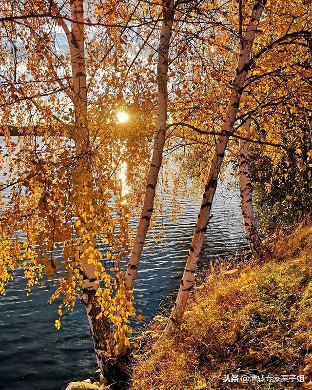 对付无赖就得用极端手段,对付无赖就得简单粗暴