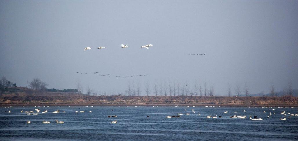 望江的成语,望江成语