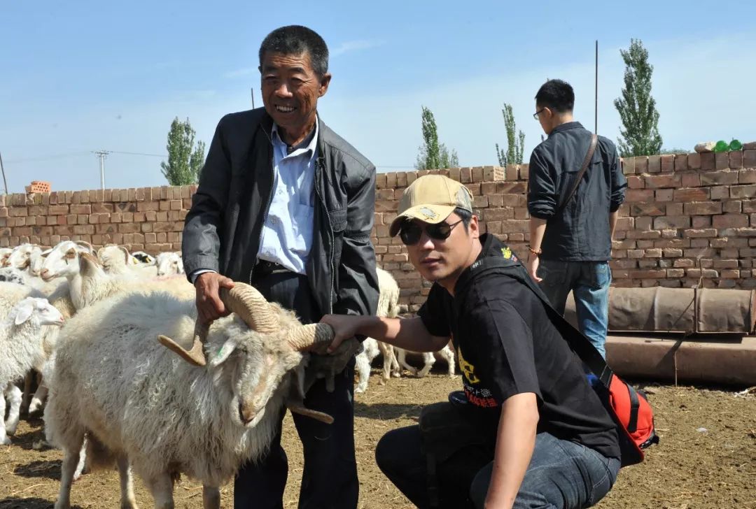 内蒙羊肉与盐池滩羊肉,新疆羊肉和盐池滩羊肉