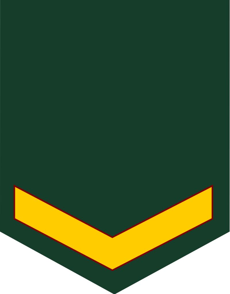 各国军衔标识韩国,马来西亚军衔等级对照表