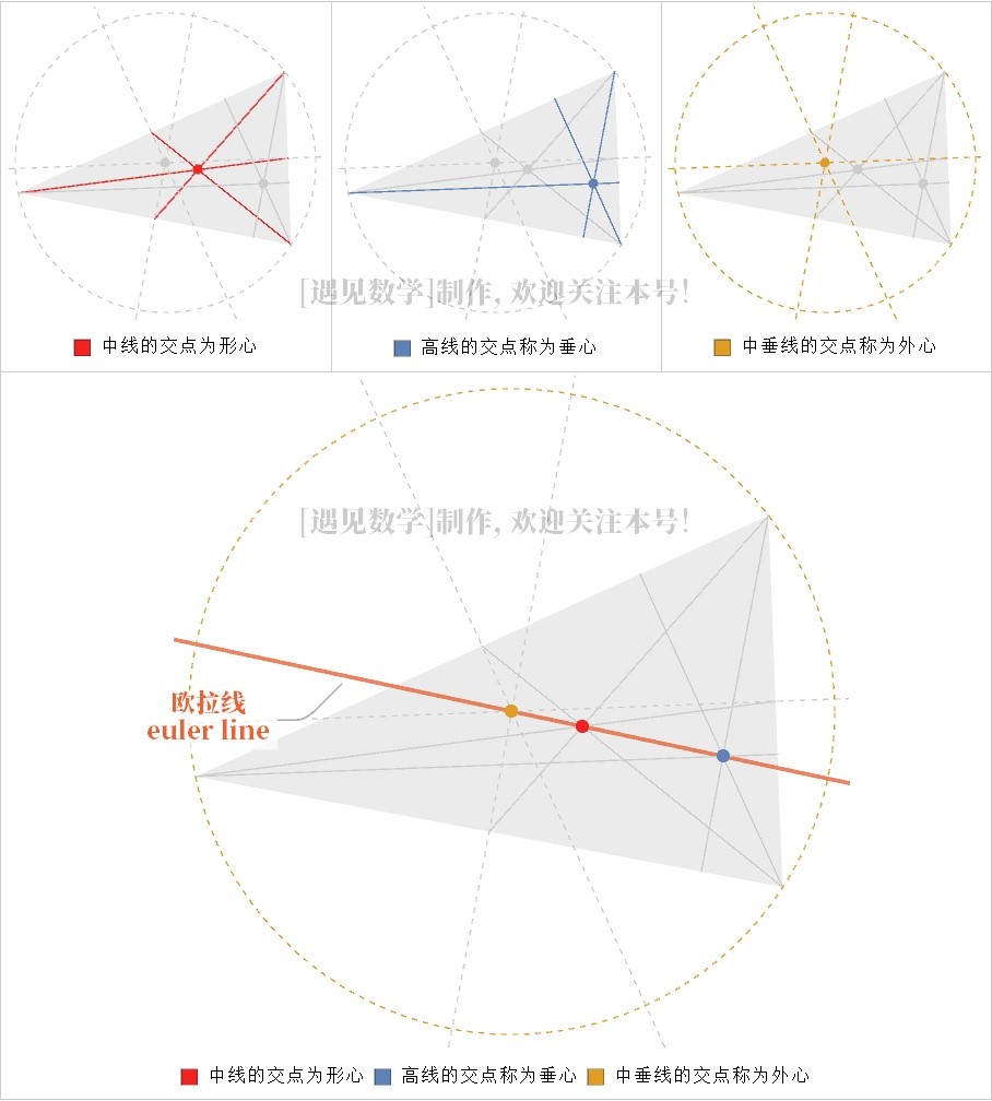 学习欧拉是什么,学习欧拉有什么用