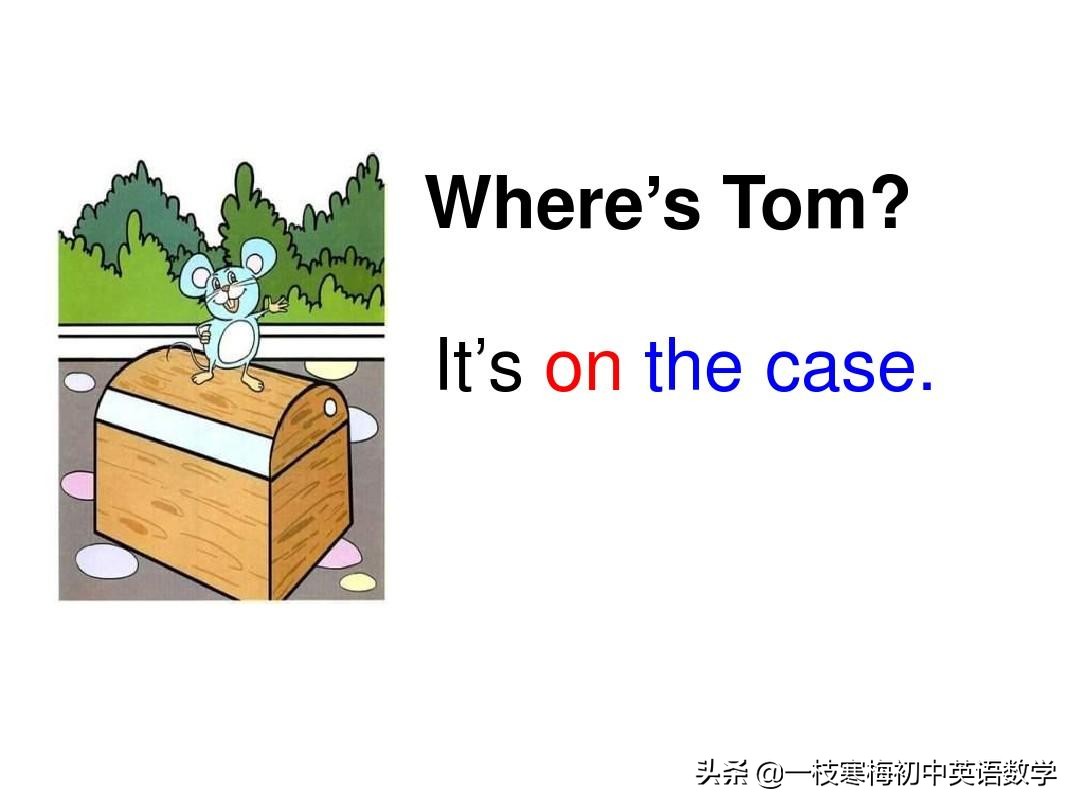 七年级上册英语第九单元section2b,七年级上册英语第八单元sectionb