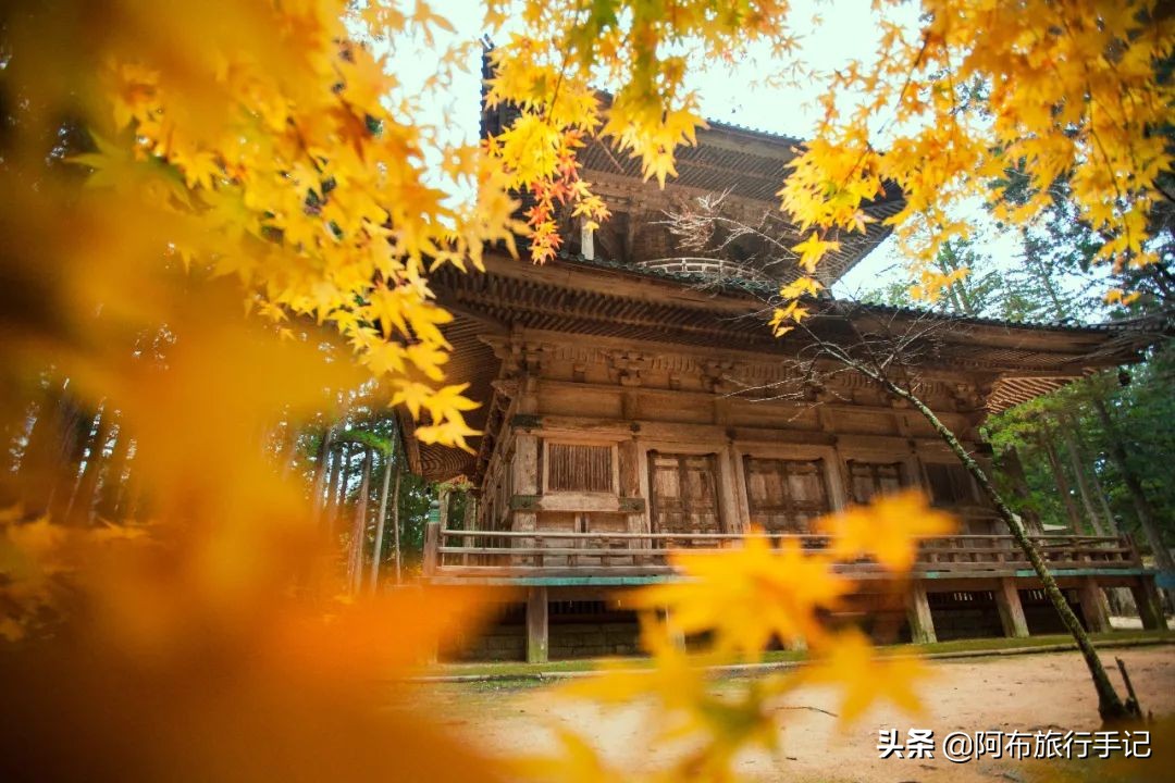 日本熊野古道拍摄,摄影师镜头下的景区
